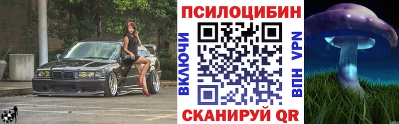 Псилоцибиновые грибы прущие грибы  Афипский 